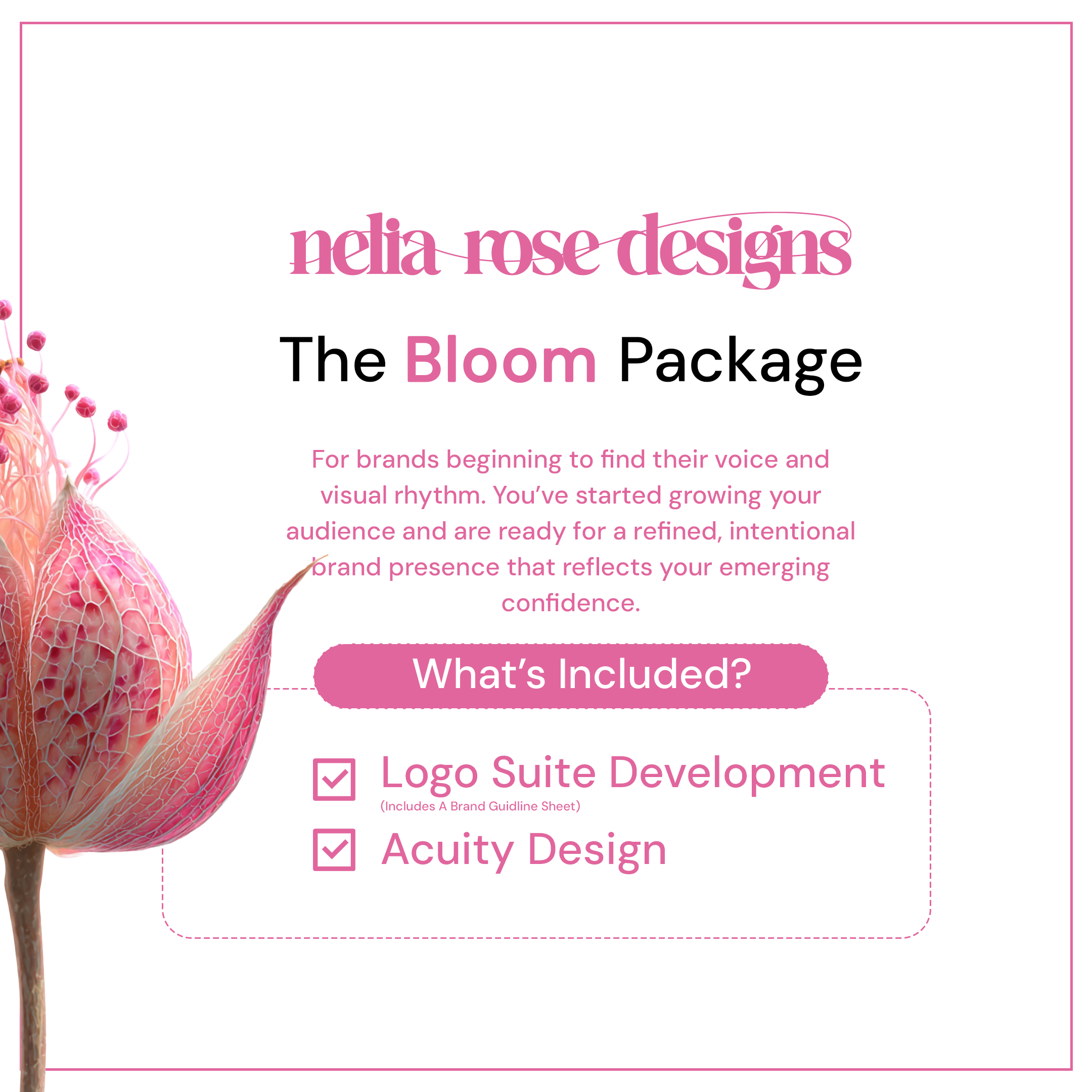 The Bloom Package | Logo Suite Development & Acuity Design