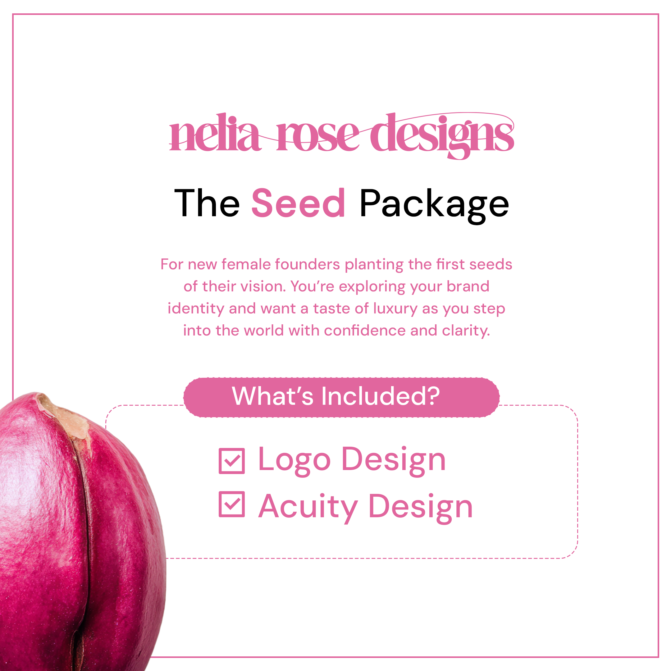 The Seed Package | Logo Design & Acuity Design